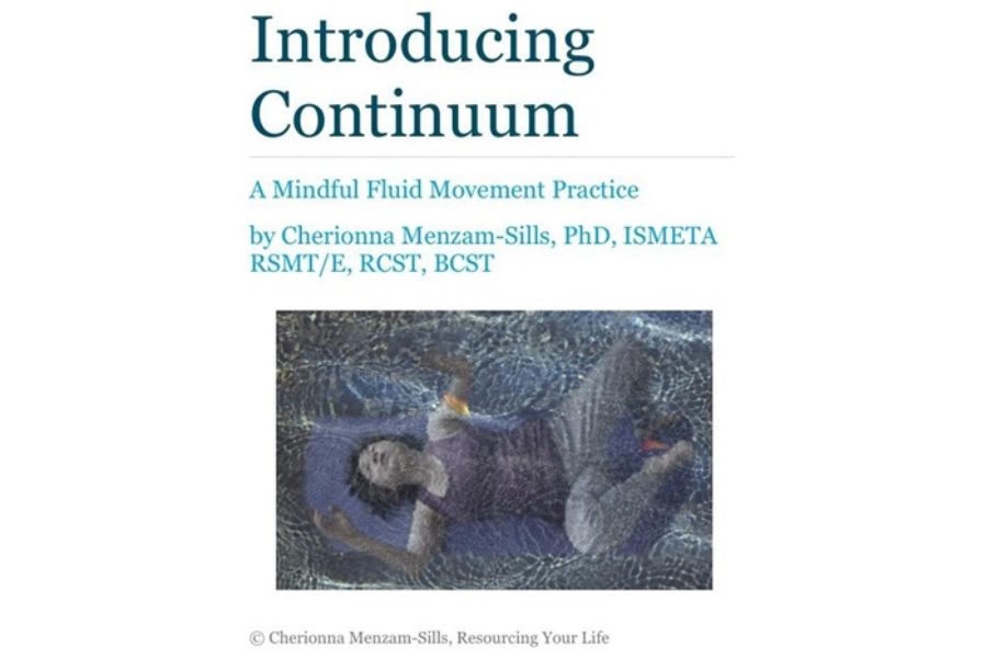 Introducing Continuum